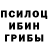Галлюциногенные грибы Psilocybe Kolya Piston
