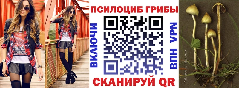 Купить где Покровск Галлюциногенные грибы мухоморы